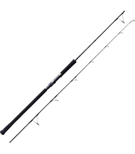 Amazon | 天龍(Tenryu) ベイブレイズ BBZ6112S-MH | 天龍(Tenryu